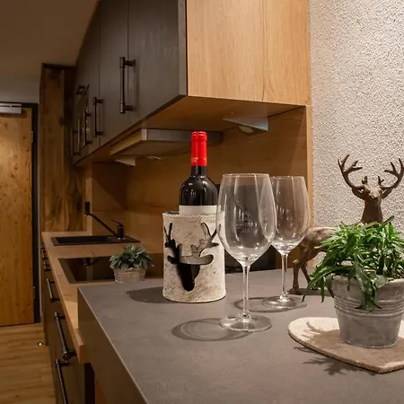Brunnenhof - Mit Service Appartement *